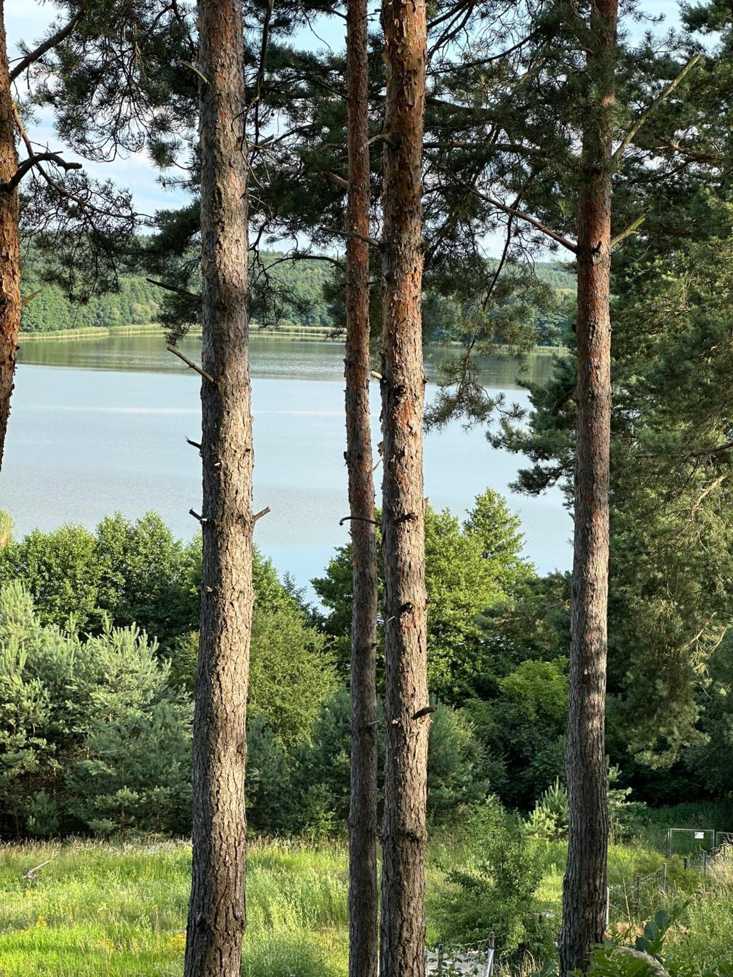 Brzezina Resort - Wille Жнин Екстериор снимка